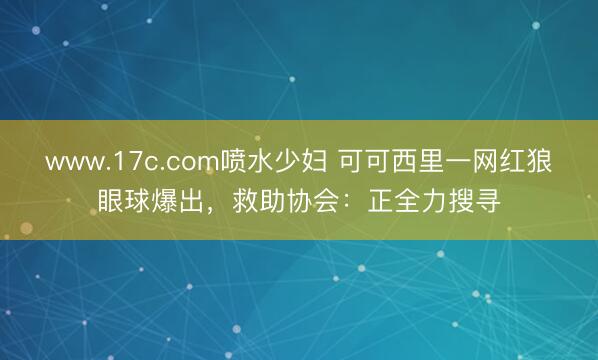 www.17c.com喷水少妇 可可西里一网红狼眼球爆出，救助协会：正全力搜寻