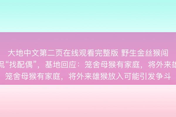 大地中文第二页在线观看完整版 野生金丝猴闯入救护基地？网友调侃“找配偶”，基地回应：笼舍母猴有家庭，将外来雄猴放入可能引发争斗