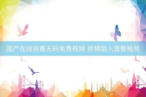 国产在线观看无码免费视频 郑棉陷入盘整格局