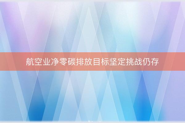 航空业净零碳排放目标坚定挑战仍存