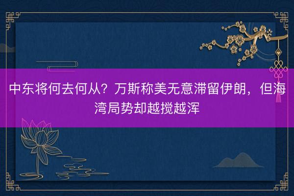中东将何去何从？万斯称美无意滞留伊朗，但海湾局势却越搅越浑