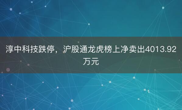 淳中科技跌停，沪股通龙虎榜上净卖出4013.92万元
