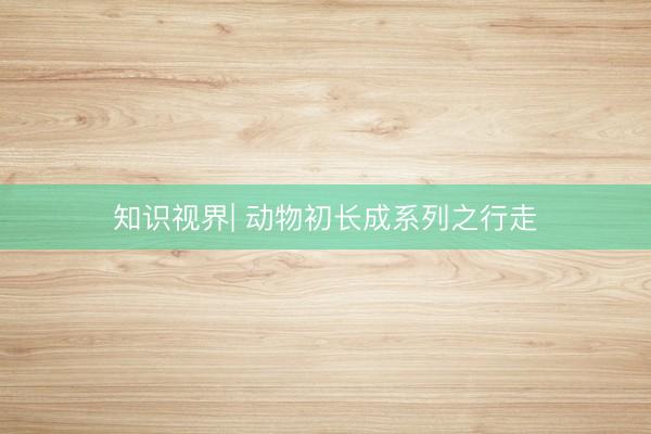 知识视界| 动物初长成系列之行走