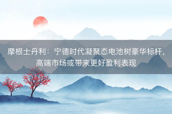 摩根士丹利：宁德时代凝聚态电池树豪华标杆，高端市场或带来更好盈利表现