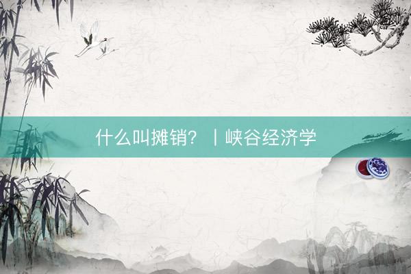 什么叫摊销？丨峡谷经济学