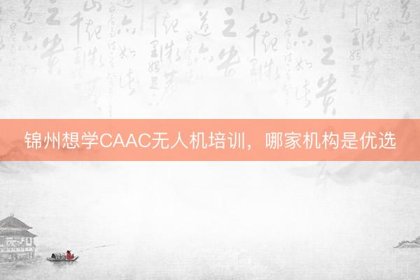 锦州想学CAAC无人机培训，哪家机构是优选