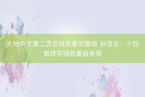 大地中文第二页在线观看完整版 孙茂东：十四载焊花铸就重器脊梁