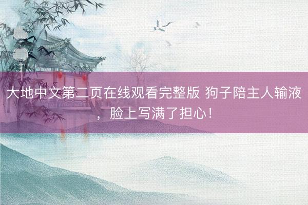 大地中文第二页在线观看完整版 狗子陪主人输液，脸上写满了担心！