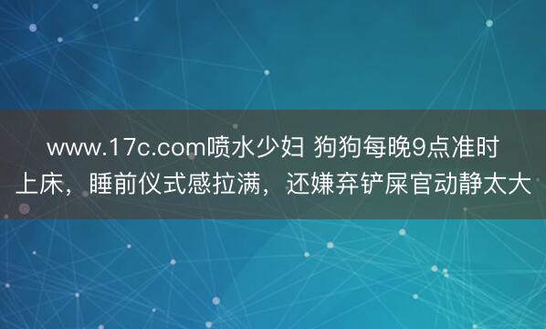 www.17c.com喷水少妇 狗狗每晚9点准时上床，睡前仪式感拉满，还嫌弃铲屎官动静太大