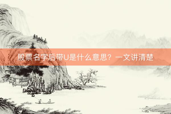股票名字后带U是什么意思？一文讲清楚