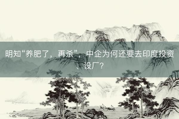 明知“养肥了，再杀”，中企为何还要去印度投资、设厂？