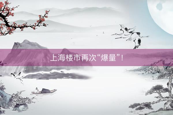 上海楼市再次“爆量”！