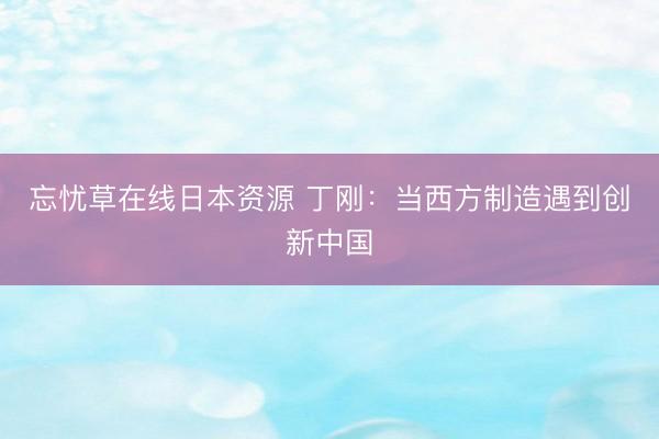 忘忧草在线日本资源 丁刚：当西方制造遇到创新中国