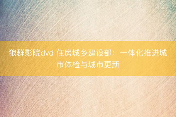 狼群影院dvd 住房城乡建设部：一体化推进城市体检与城市更新