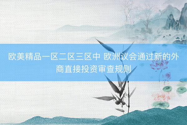 欧美精品一区二区三区中 欧洲议会通过新的外商直接投资审查规则