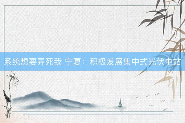 系统想要弄死我 宁夏：积极发展集中式光伏电站