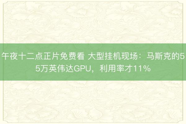 午夜十二点正片免费看 大型挂机现场：马斯克的55万英伟达GPU，利用率才11%