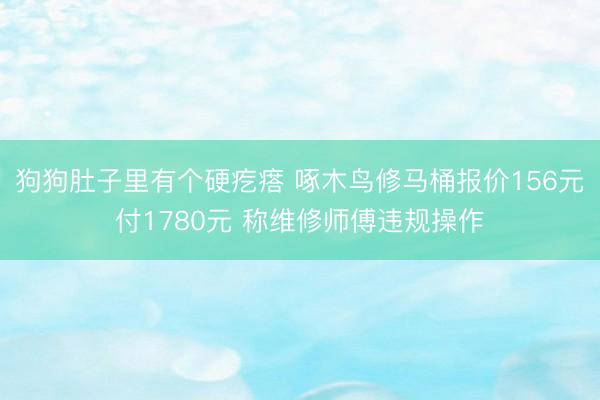 狗狗肚子里有个硬疙瘩 啄木鸟修马桶报价156元付1780元 称维修师傅违规操作