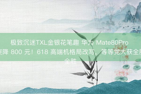 极致沉迷TXL金银花笔趣 华为 Mate80Pro 突降 800 元!618 高端机格局改写,等等党大获全胜