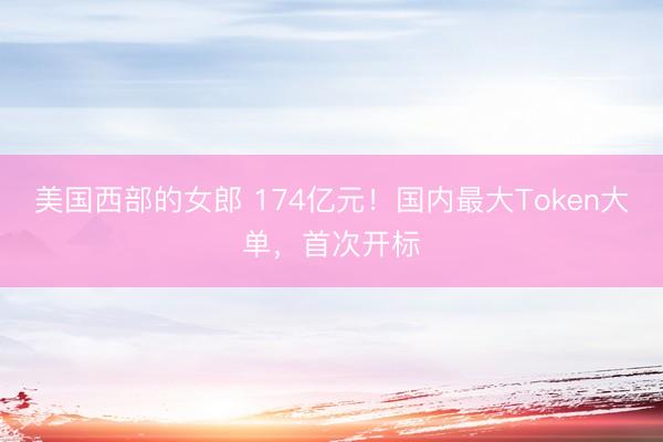 美国西部的女郎 174亿元！国内最大Token大单，首次开标