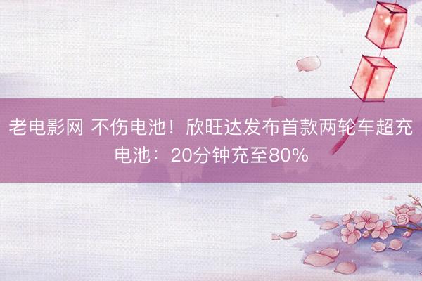 老电影网 不伤电池！欣旺达发布首款两轮车超充电池：20分钟充至80%