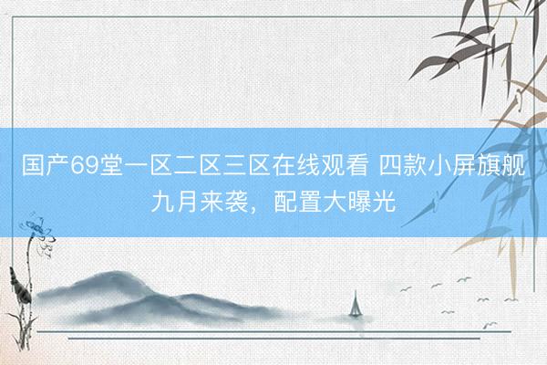 国产69堂一区二区三区在线观看 四款小屏旗舰九月来袭，配置大曝光