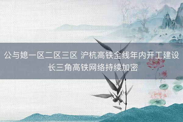 公与媳一区二区三区 沪杭高铁全线年内开工建设 长三角高铁网络持续加密
