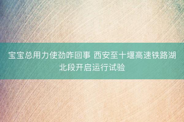 宝宝总用力使劲咋回事 西安至十堰高速铁路湖北段开启运行试验