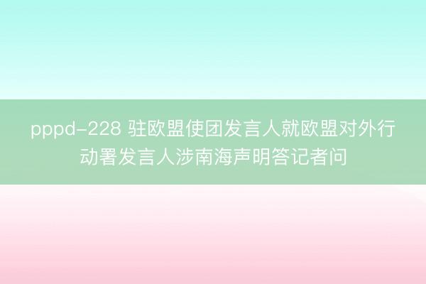 pppd-228 驻欧盟使团发言人就欧盟对外行动署发言人涉南海声明答记者问