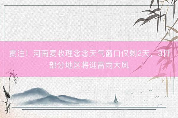 贯注！河南麦收理念念天气窗口仅剩2天，3日部分地区将迎雷雨大风
