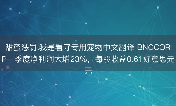 甜蜜惩罚.我是看守专用宠物中文翻译 BNCCORP一季度净利润大增23%，每股收益0.61好意思元