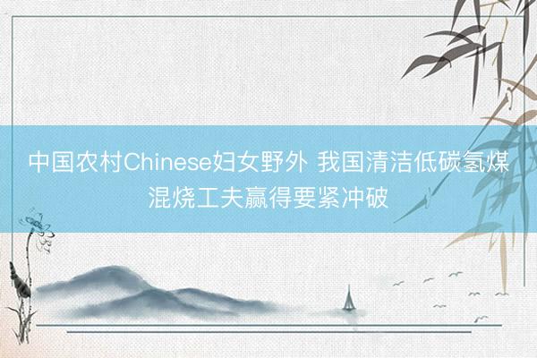 中国农村Chinese妇女野外 我国清洁低碳氢煤混烧工夫赢得要紧冲破