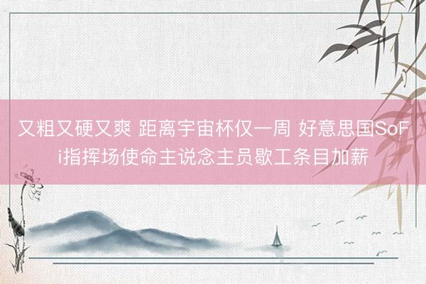 又粗又硬又爽 距离宇宙杯仅一周 好意思国SoFi指挥场使命主说念主员歇工条目加薪