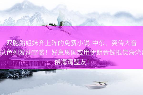 双胞胎姐妹齐上阵的免费小说 中东，突传大音问！以色列发动空袭！好意思国或用伊朗金钱抵偿海湾盟友！