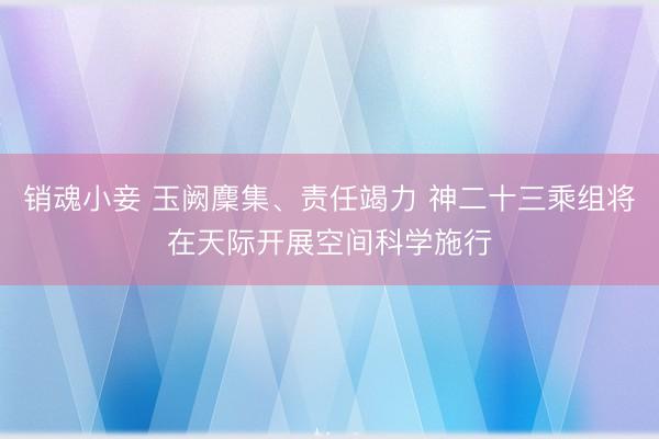 销魂小妾 玉阙麇集、责任竭力 神二十三乘组将在天际开展空间科学施行