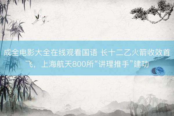 成全电影大全在线观看国语 长十二乙火箭收效首飞，上海航天800所“讲理推手”建功