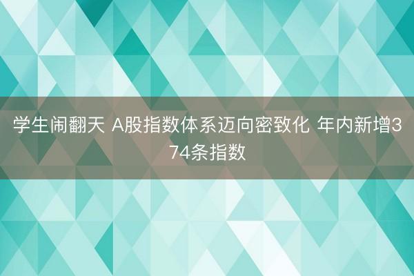 学生闹翻天 A股指数体系迈向密致化 年内新增374条指数
