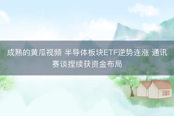 成熟的黄瓜视频 半导体板块ETF逆势连涨 通讯赛谈捏续获资金布局
