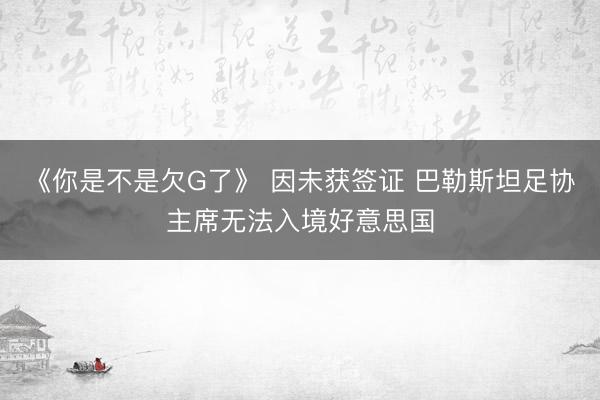 《你是不是欠G了》 因未获签证 巴勒斯坦足协主席无法入境好意思国