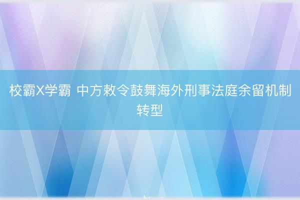 校霸X学霸 中方敕令鼓舞海外刑事法庭余留机制转型