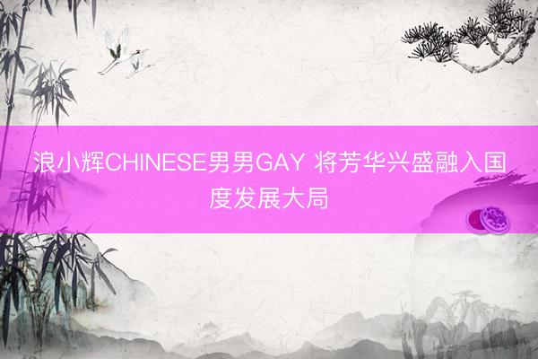 浪小辉CHINESE男男GAY 将芳华兴盛融入国度发展大局