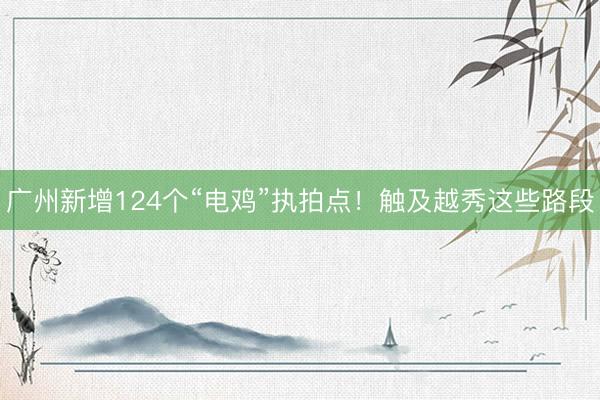 广州新增124个“电鸡”执拍点！触及越秀这些路段